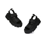 Beatia UGG AUSTRALIAN SHEPHERD