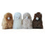 Auskin® Alpaca Huacaya Key Ring Alpaca Body Snap Hook