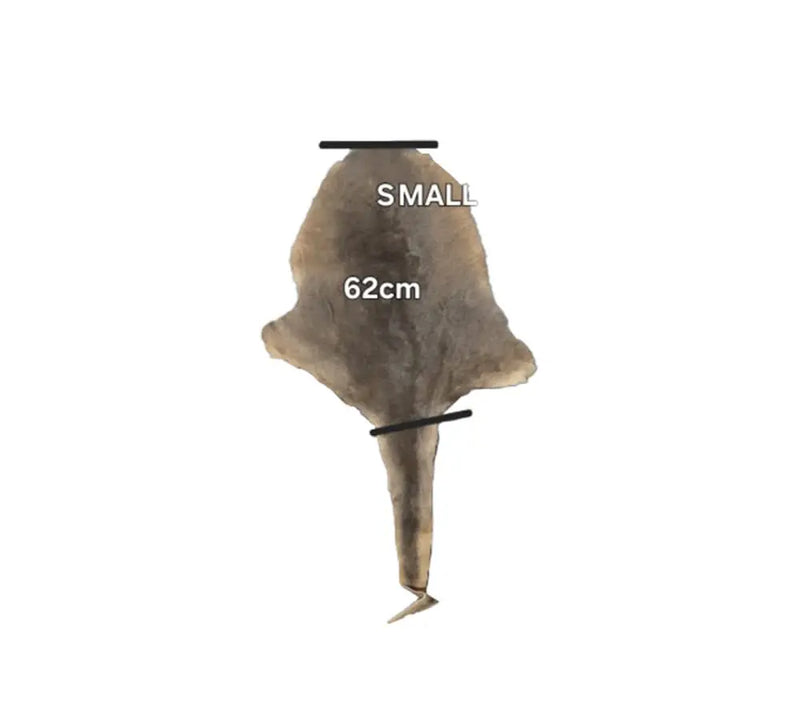 Bush Ugg Kangaroo Skin Rug S UGG EXPRESS
