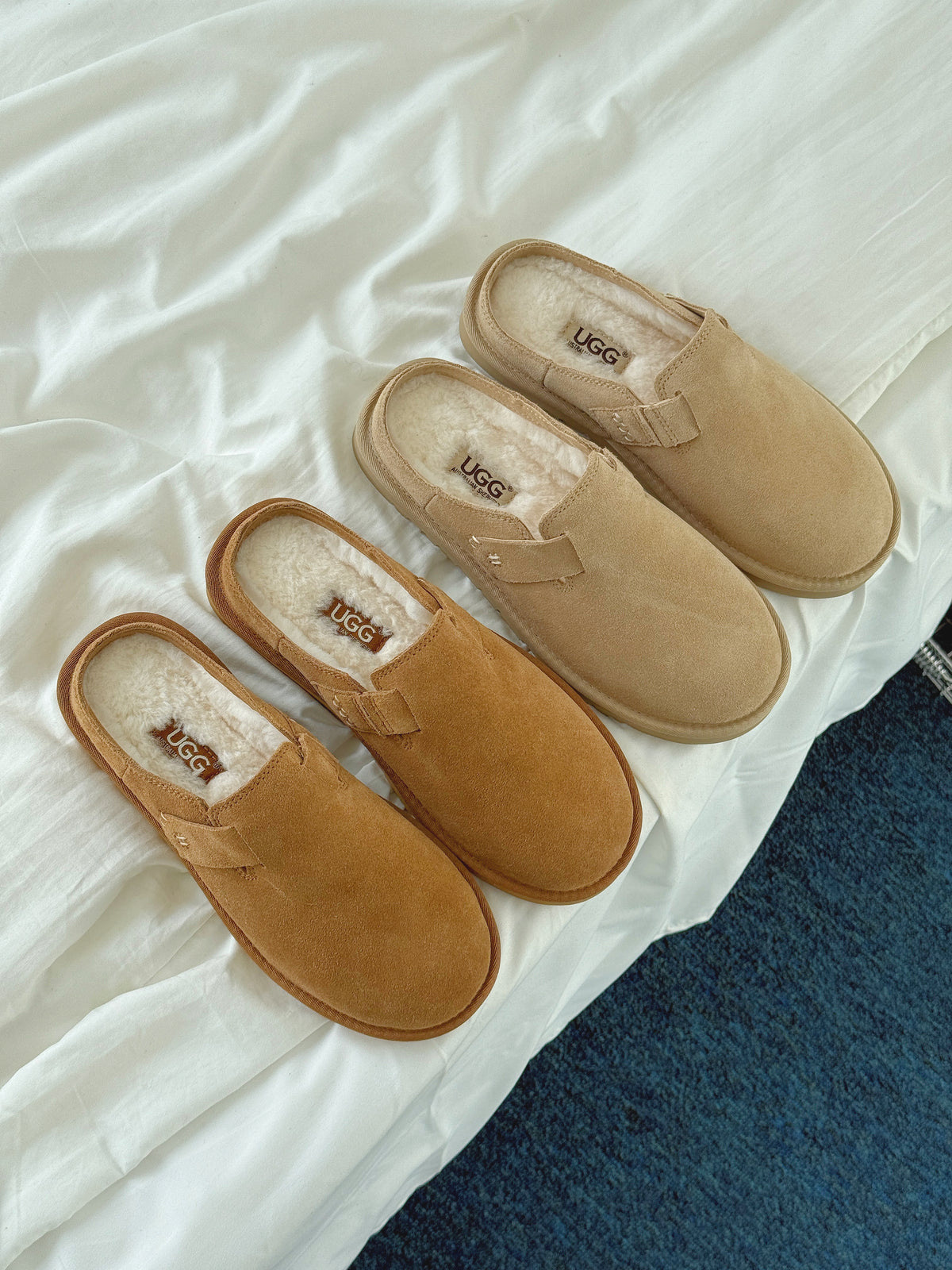 AUSTRALIAN SHEPHERD® UGG Slippers  Scuff Homelle