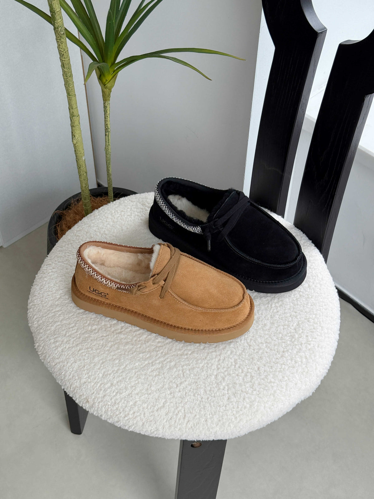 AUSTRALIAN SHEPHERD® Unisex UGG Slippers Marek