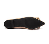 Flats - Pointed Toe Ballet Flat With Metal Buckle Décor Women Pari